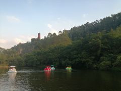 -南沙蒲洲花园