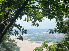 -铁山坪森林公园