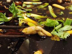 -费明中罗非鱼(大石坝店)