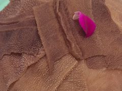 -蜀留香火锅(社会山店)