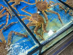 -张家卫·阳江菜·小海鲜(肥婆湾桥店)