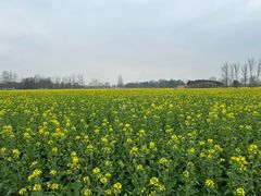 -中国天府农业博览园