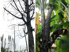 -驿舍·民國老营房院子私房菜(科学会堂店)