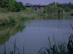 -白鹭湾湿地公园