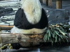 -秦皇岛野生动物园