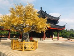 -广东圆玄道观