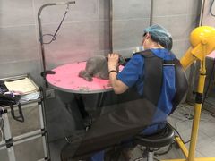 -宠福鑫康馨动物医院·骨科·眼科