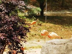 -云南野生动物园