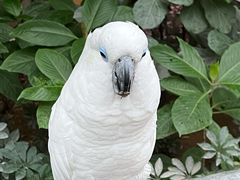 -南宫五洲植物乐园