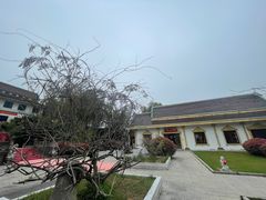 -报恩禅寺