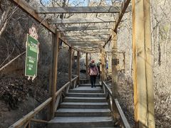 -大岭沟猕猴桃谷风景区