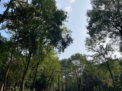 -重庆彩云湖湿地公园