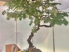 -绿茶餐厅(广州天河城店)