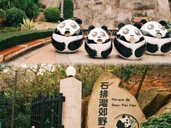 -石排湾郊野公园