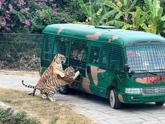 -深圳野生动物园