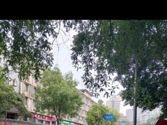 -约翰·菲茨杰拉德·肯尼迪国际机场