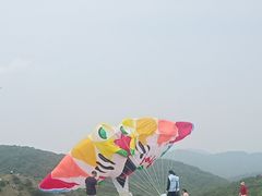-大姆山草场