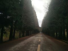 -山王坪喀斯特国家生态公园