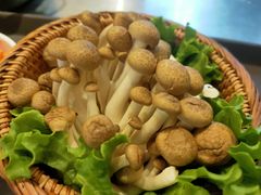 -木王宴语·野生鲜菌火锅(玉河店)