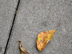 -Tequila Espresso(嘉善路店)