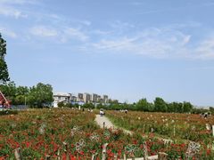 -祥源·阜阳生态乐园