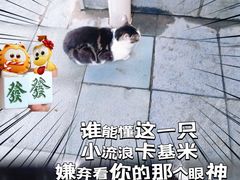 -宁波汤团店(外滩店)