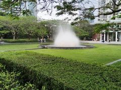 -缘生态云南菜·野生菌庭院餐厅(华侨城店)