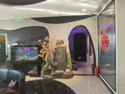 -TOP HAIR SALON