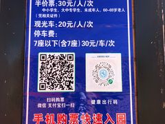 -金塔沙漠胡杨林景区