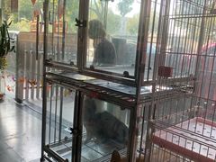 -暖阳宠物医院·犬猫康复中心·骨科