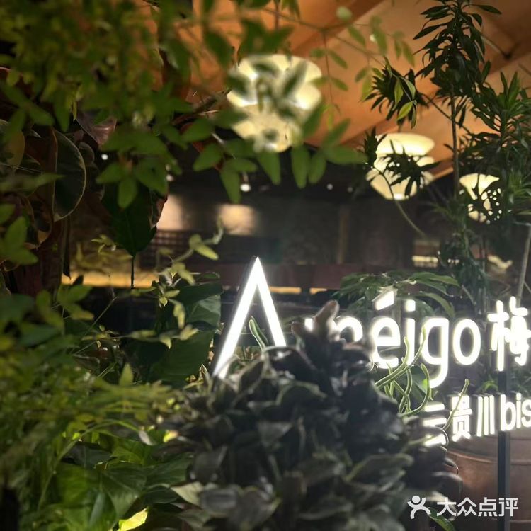 Ameigo梅果·云贵川bistro，尝美味