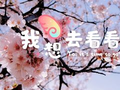 -天王浮山樱花园