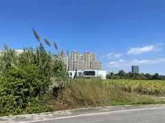 -三垟湿地
