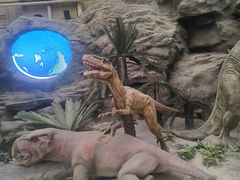 -国家自然博物馆