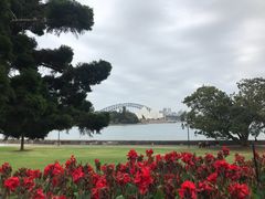-悉尼歌剧院