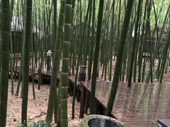 -苏州环秀晓筑养生度假村