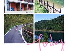 -武陵山森林公园