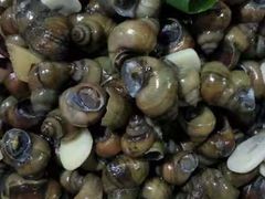 -水库活鱼馆(于桥水库店)