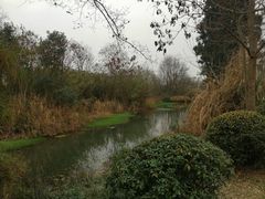 -白鹭湾湿地公园