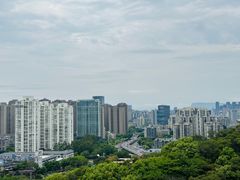 -金鸡山公园