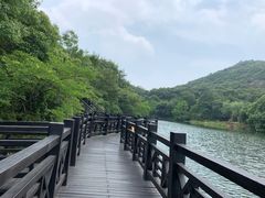 -白马涧龙池景区