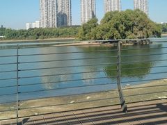 -长白岛森林公园