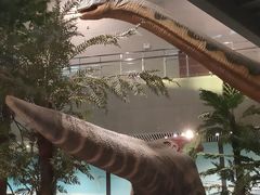 -湖南省地质博物馆