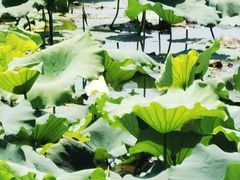 -丝绸小镇荻港古村