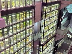 -广东中医药博物馆