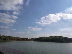 -昆山城市生态森林公园