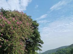 -南沙高尔夫球会