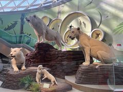 -陕西自然博物馆