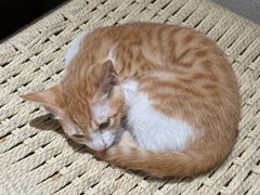 -初甜·舒芙蕾·韩式雪花冰(流塘店)