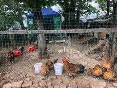 -城林園·老滇味